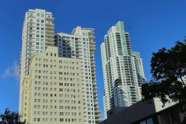 Arquitectura Pueblos Edificios Calles Reflexiones Moderno Altos Color Miami Govermment — Foto de Stock