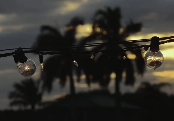 Chritsma Nın Işıkları Miami Nin Şehir Mimarisi — Stok fotoğraf
