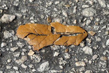 Kendall Miami Dade 'deki günlük hayatın ayrıntıları