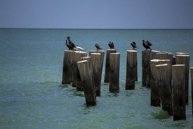 Antigua 'nın Guatemalalı ve Miami' nin Dade Hükümet Merkezi Fotoğrafları