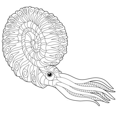 Zentangle stilize nautilus