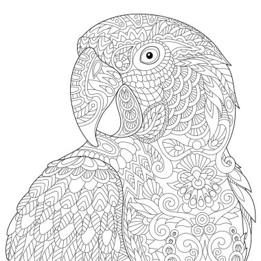 Zentangle stilize Amerika papağanı