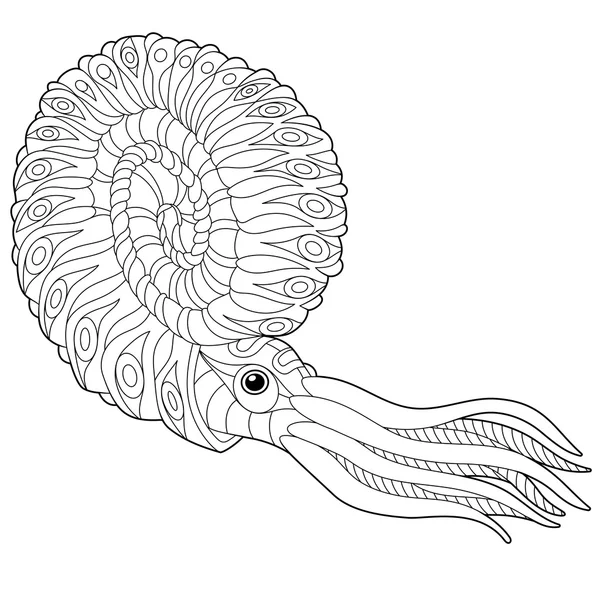 Zentangle nautilus estilizado —  Vetores de Stock