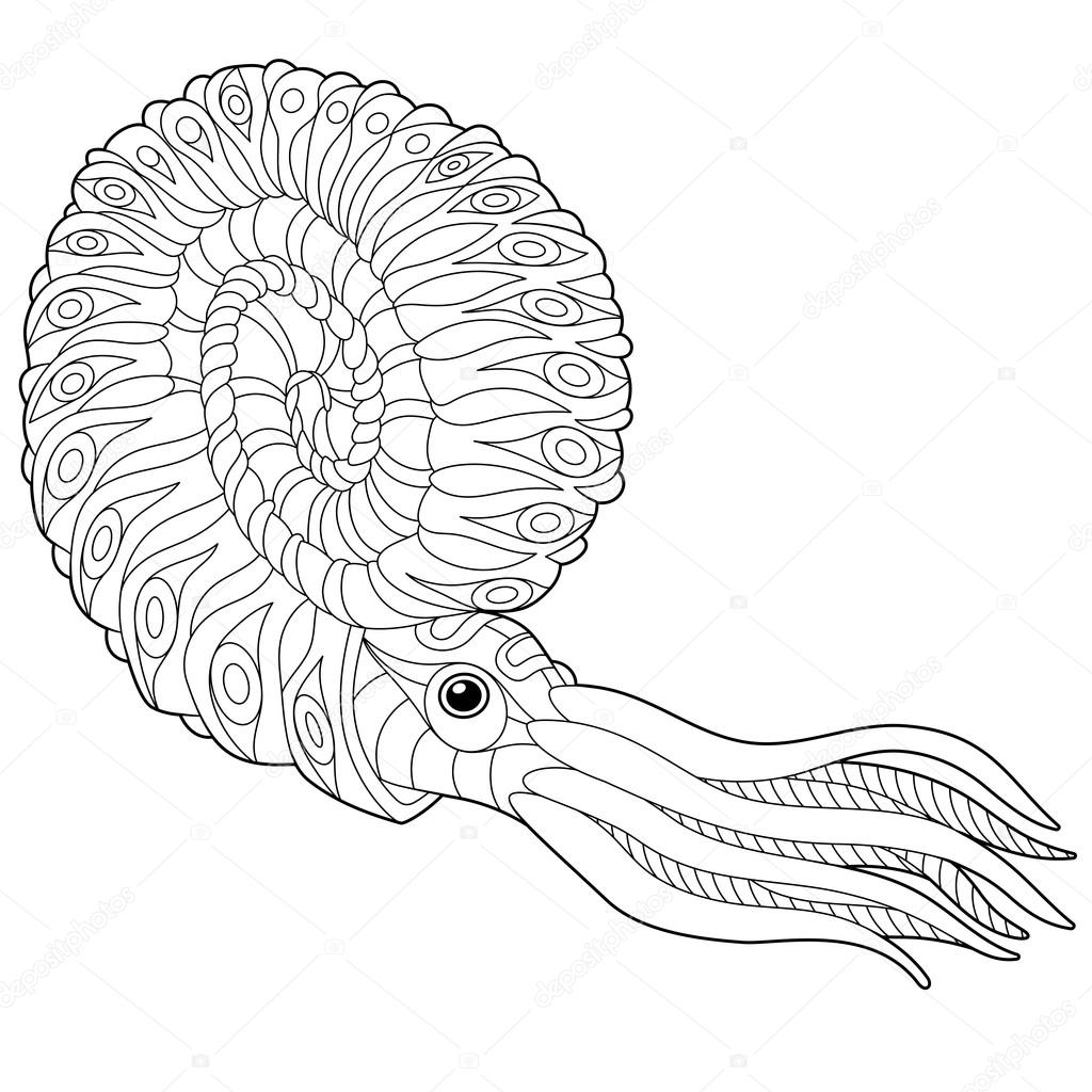 Zentangle stylized nautilus