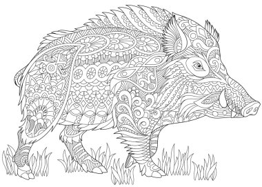 Zentangle stilize yaban domuzu