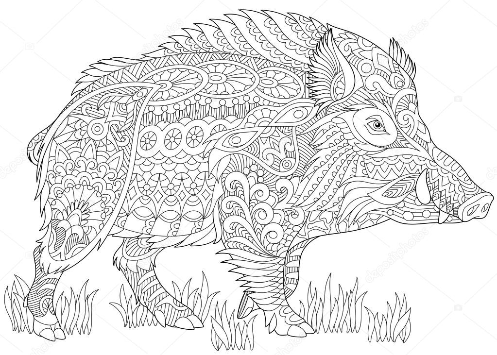 Zentangle stylized wild boar
