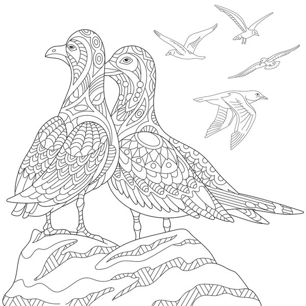 Zentangle stylized seagulls