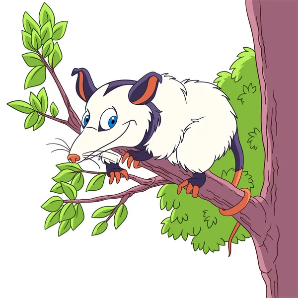 Cartone animato opossum animale — Vettoriale Stock