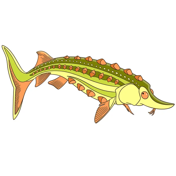 Esturión de dibujos animados peces — Vector de stock