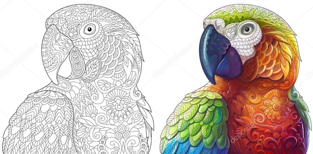 zentangle macaw parrots