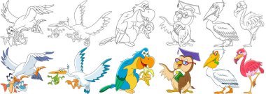karikatür kuşlar set