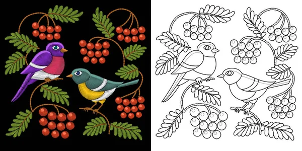 Broderie oiseaux design — Image vectorielle