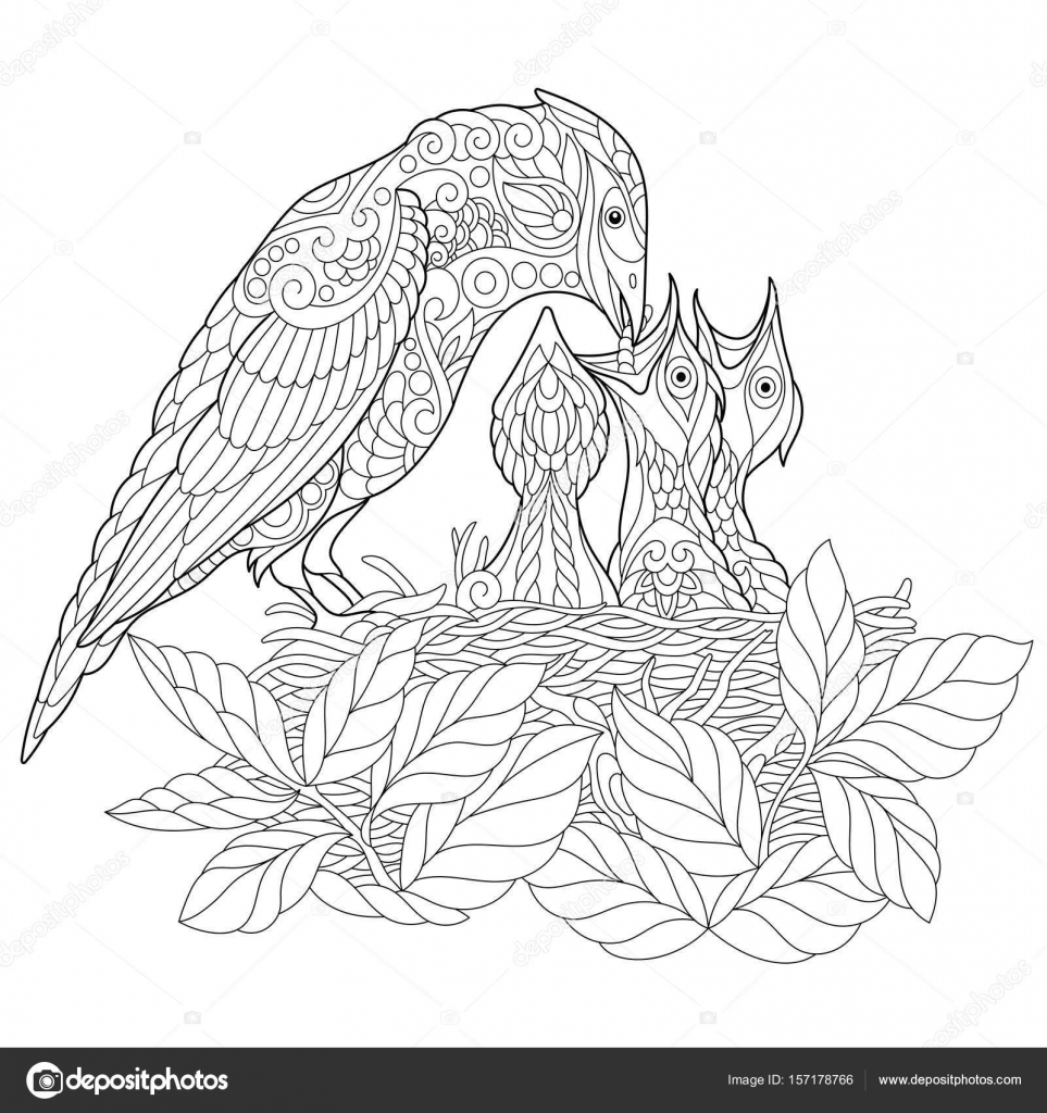 Oiseau De Jay Zentangle Stylisé Image Vectorielle Sybirko
