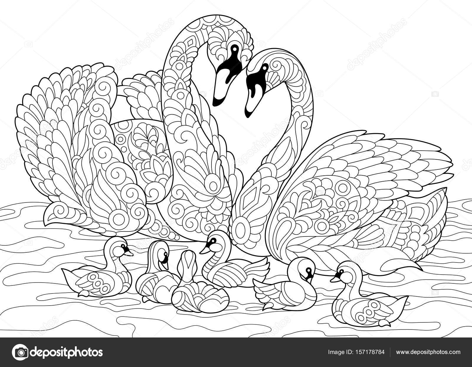 famille des cygnes stylisés zentangle image vectorielle