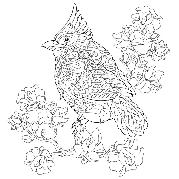 Zentangle stiliserade kardinal fågel — Stock vektor