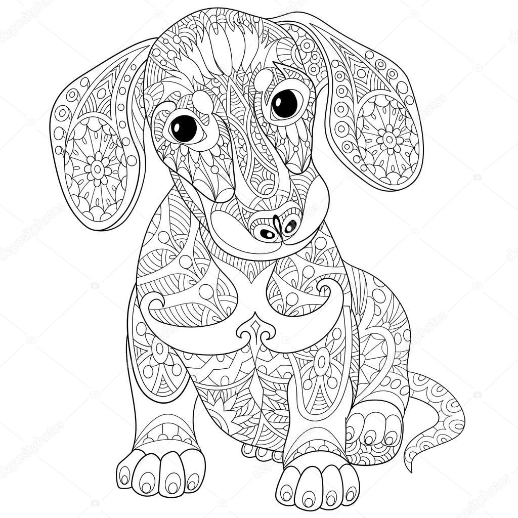 Coloring book page of dachshund puppy dog, isolated on white background
