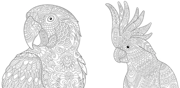 Zentangle Amerika papağanı (arara) ve Kakadu — Stok Vektör