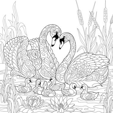 Zentangle kuğu kuş aile stilize