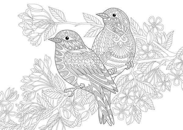 Zentangle stilizzato due uccelli — Vettoriale Stock