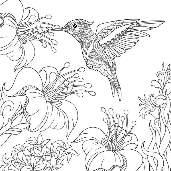 Colibri stylisé Zentangle — Image vectorielle