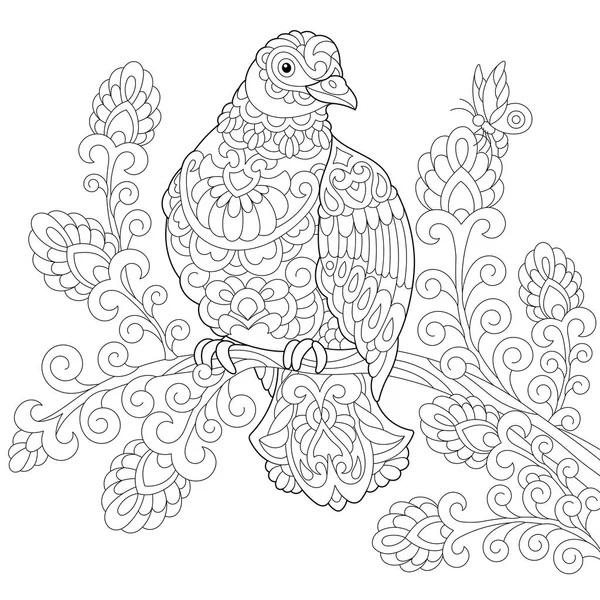 程式化的 Zentangle 鸽鸟 — 图库矢量图片