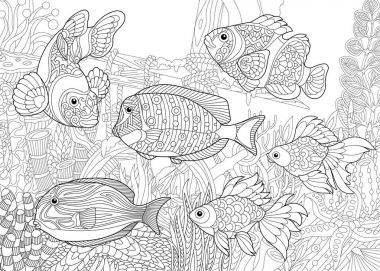 Zentangle stilize sualtı dünyası