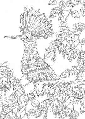 Stilize Zentangle ibibik kuşu