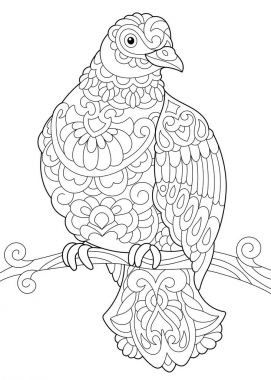 Stilize Zentangle kuş güvercin