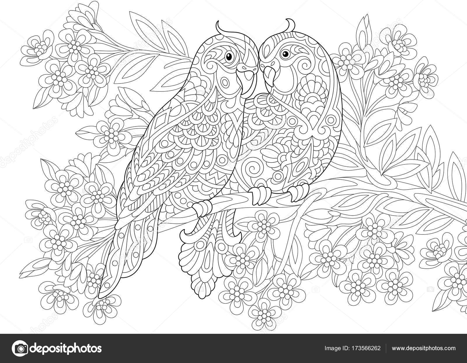 Pagina da colorare di due pappagalli in amore e sfondo floreale con fiori Schizzo a mano libera disegno per la cartolina d auguri di San Valentino vintage