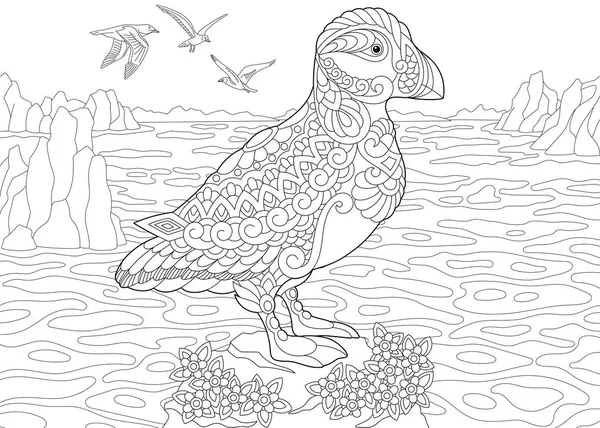 Zentangle puffin pássaro do mar —  Vetores de Stock