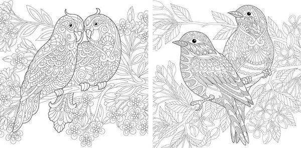 Oiseaux de printemps amoureux — Image vectorielle