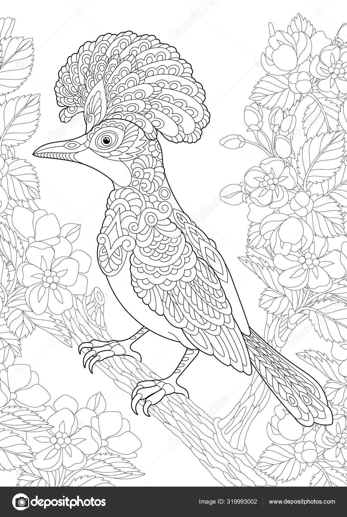 Coloring page with bird in the garden Stock Vector Image by ...