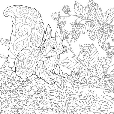 coloring page with cute squirrel in the forest