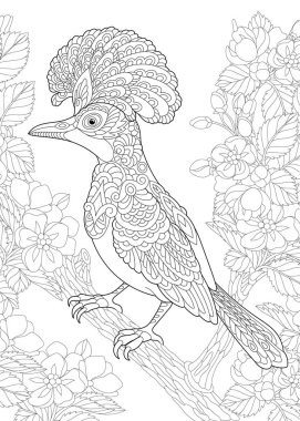 Bahçedeki kuşla renklendirme sayfası