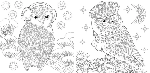 Coloring page with owls — Stock Vector