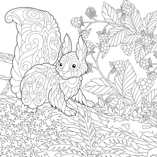 56 Squirrel Zentangle Vector Images Squirrel Zentangle Illustrations Depositphotos