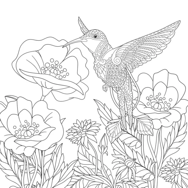 Boyama Sayfası Güzel Sinekkuşunun Gelincik Çiçeklerinin Renkli Resmi Çizgi Tasarımı — Stok Vektör