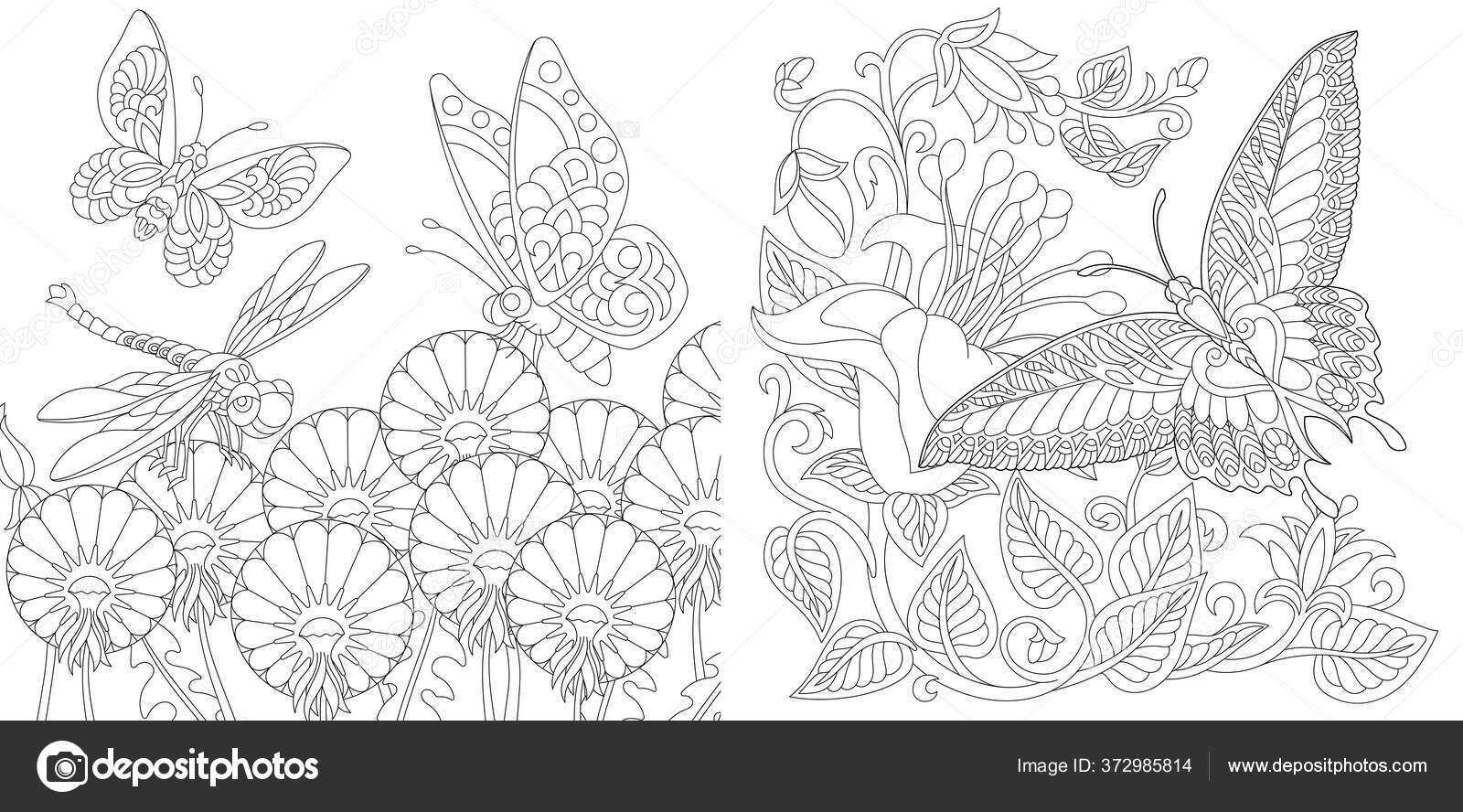 Coloring Book Vintage Butterflies Flowers Line Art Design ...