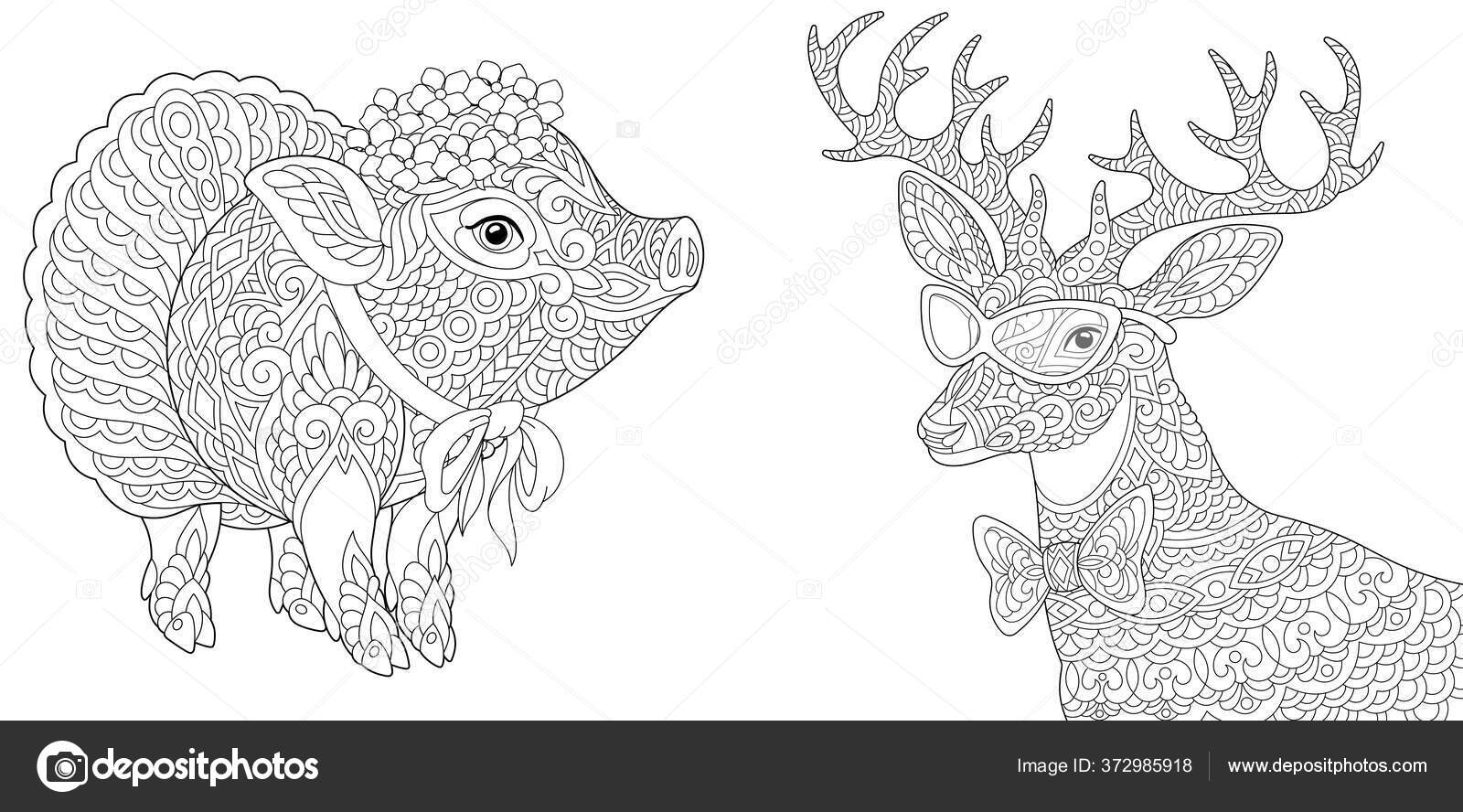 Adult coloring book page a cute pig image Vector Image
