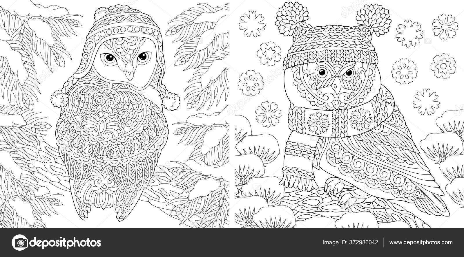 Animal Coloring Pages Cute Owls Winter Hats Line Art Design Stock ...