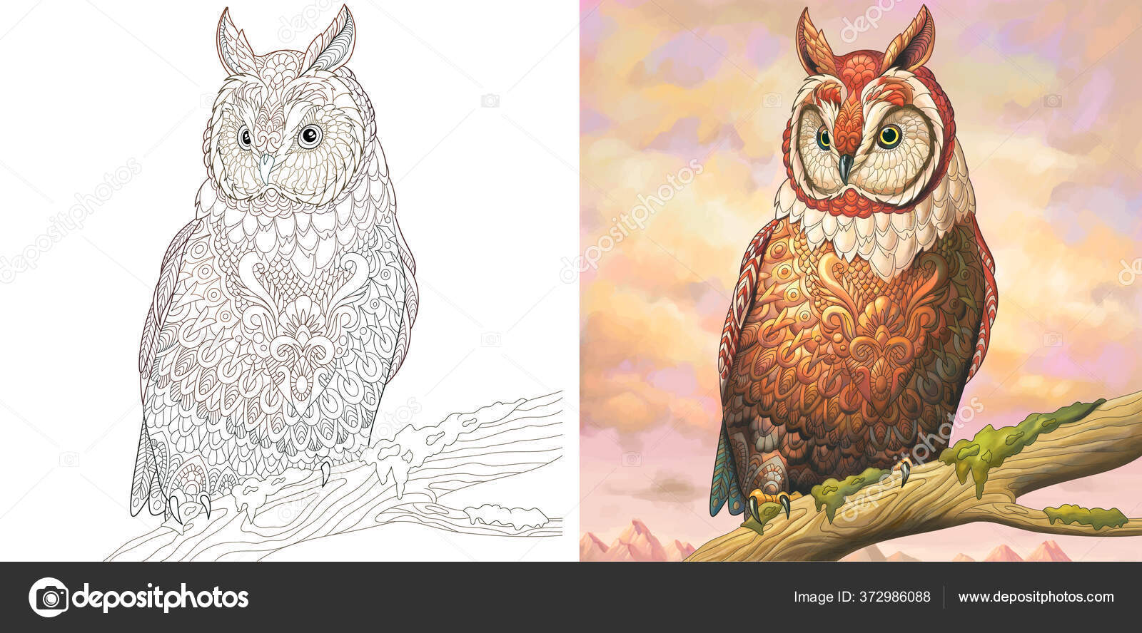 Download Adult Coloring Book Owl Bird Colorless Color Sample Painted Watercolor Stock Vector Image By C Sybirko 372986088