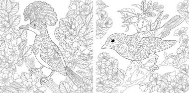 Yetişkin boyama sayfaları. Bahar bahçesindeki güzel kuşlar. Zentangle stili anti-stres boyama kitabı için çizgi tasarımı. Vektör illüstrasyonu. 