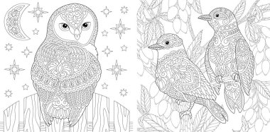 Yetişkin boyama kitabı. Güzel baykuş ve bahçede bir çift güzel kuş. Zentangle tarzında anti-stres boyama sayfaları için çizgi tasarımı. Vektör illüstrasyonu. 