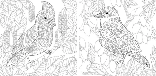 Kleurplaten Voor Volwassenen Leuke Vogels Zitten Boomtakken Line Art Design — Stockvector