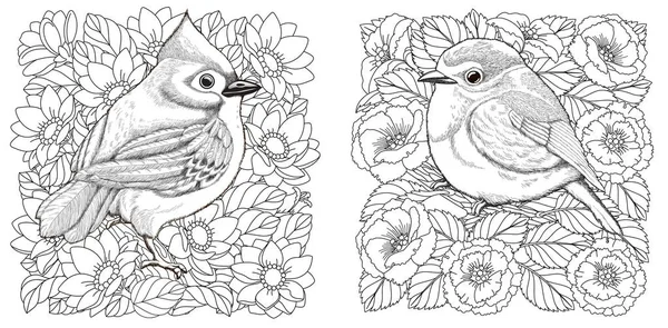成人彩色页面 两只鸟在美丽的花朵中 用Zentangle风格设计的抗应力着色书的线条艺术设计 矢量说明 — 图库矢量图片