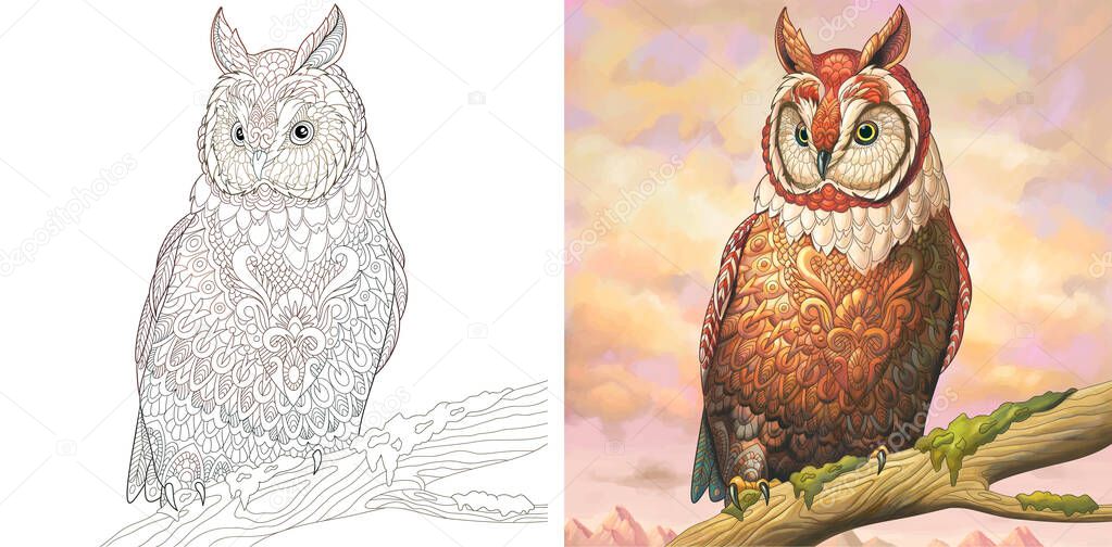 Adult coloring book. Owl bird. Colorless and color sample painted in watercolor imitating style. Coloring design with doodle and zentangle elements. Vector illustration. 