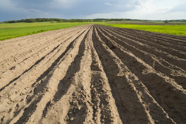 Gepflügtes Feld bei der Aussaat, Wolken am Horizont. — Stockfoto