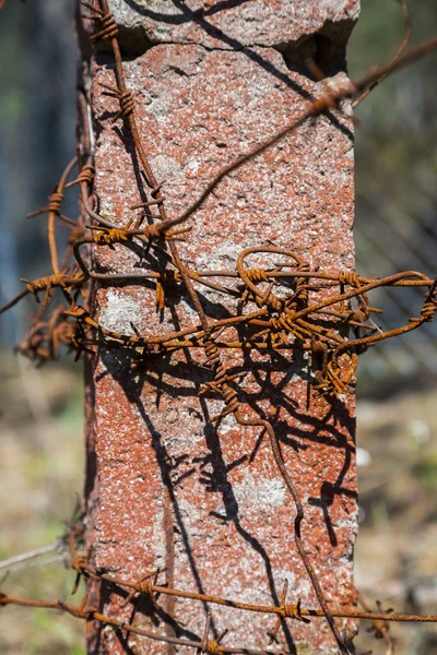 Barbed wire on pole. — Stock Photo, Image