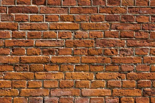 Bricks wall. Background.. Stock Image