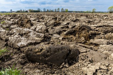 Tarım peyzaj, sürülmüş rolü, ufukta bulutlar.
